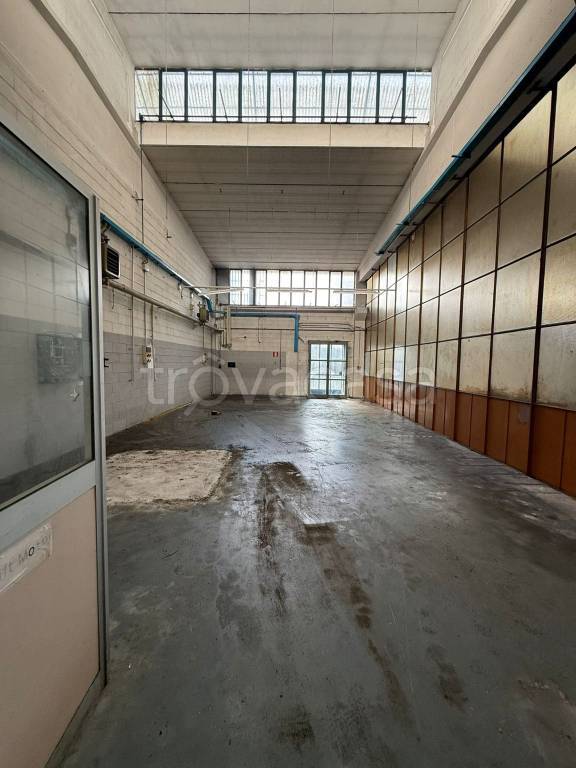 immagine annuncio 7 di 14