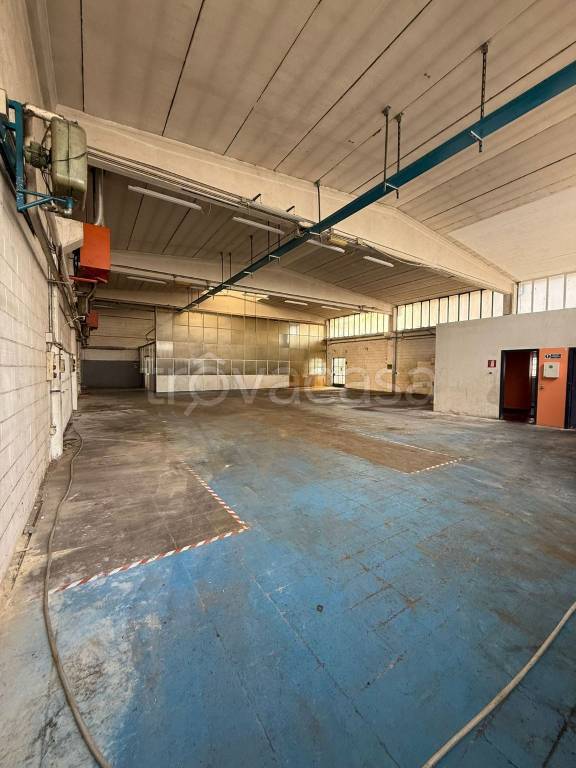 immagine annuncio 9 di 14