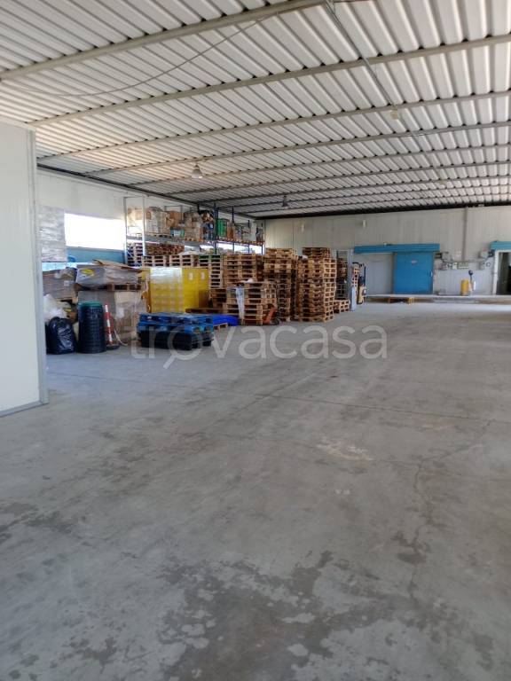 immagine annuncio 4 di 12