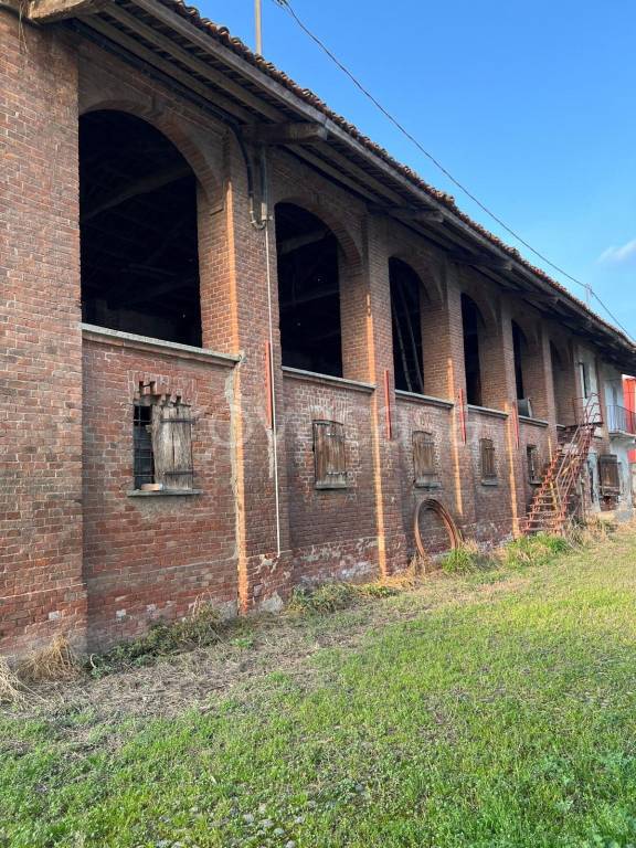 immagine annuncio 5 di 14