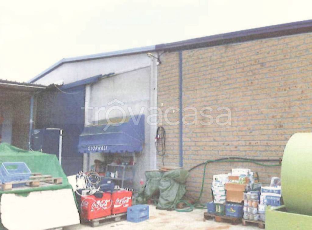 immagine annuncio 2 di 11