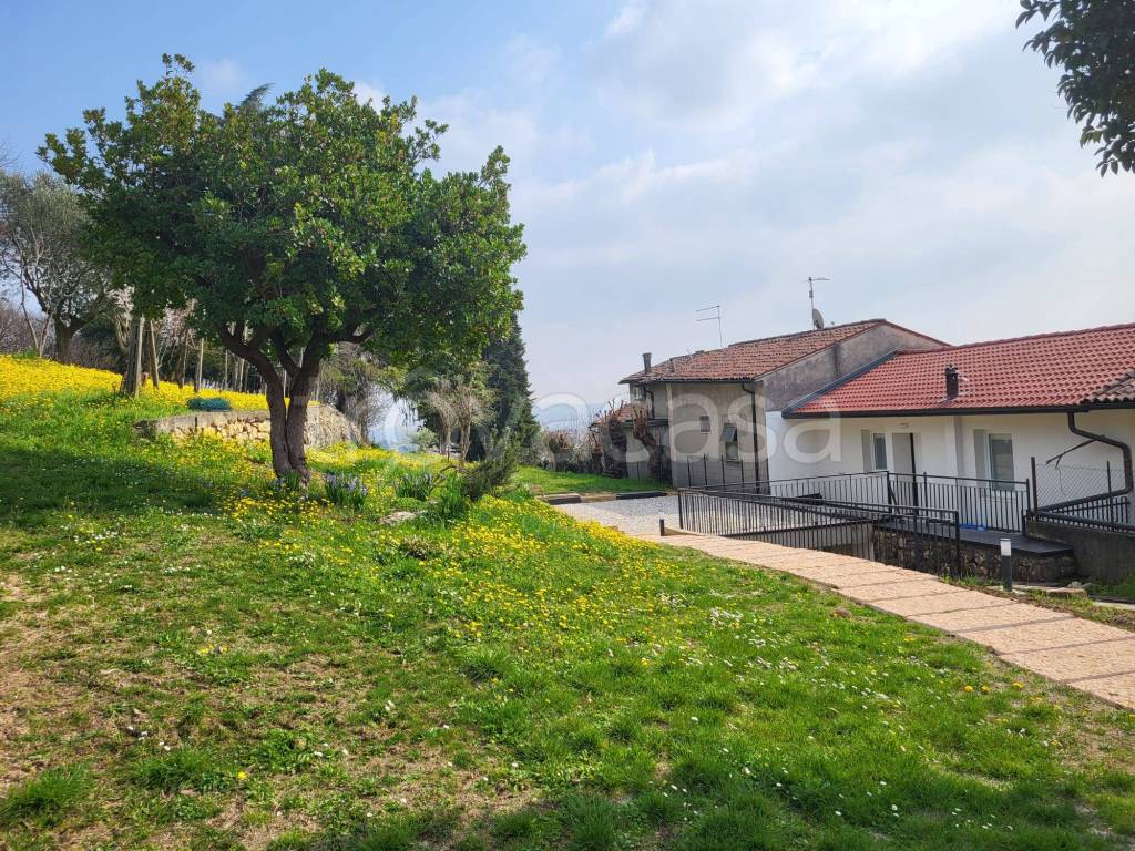 immagine annuncio 7 di 15