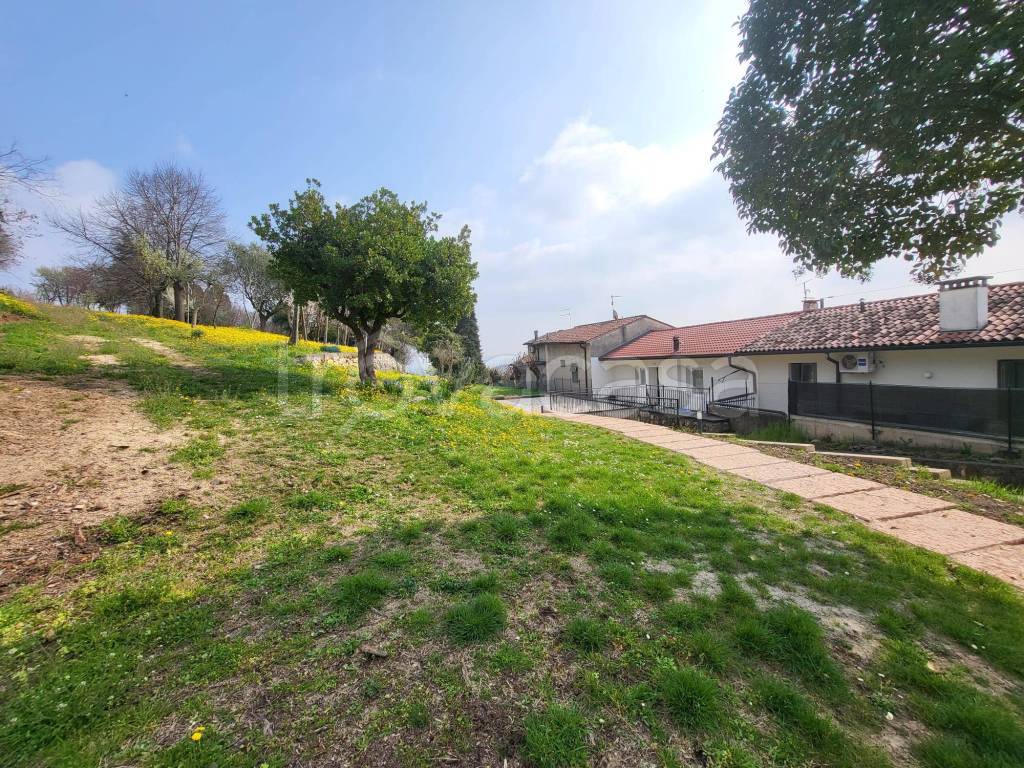 immagine annuncio 8 di 15