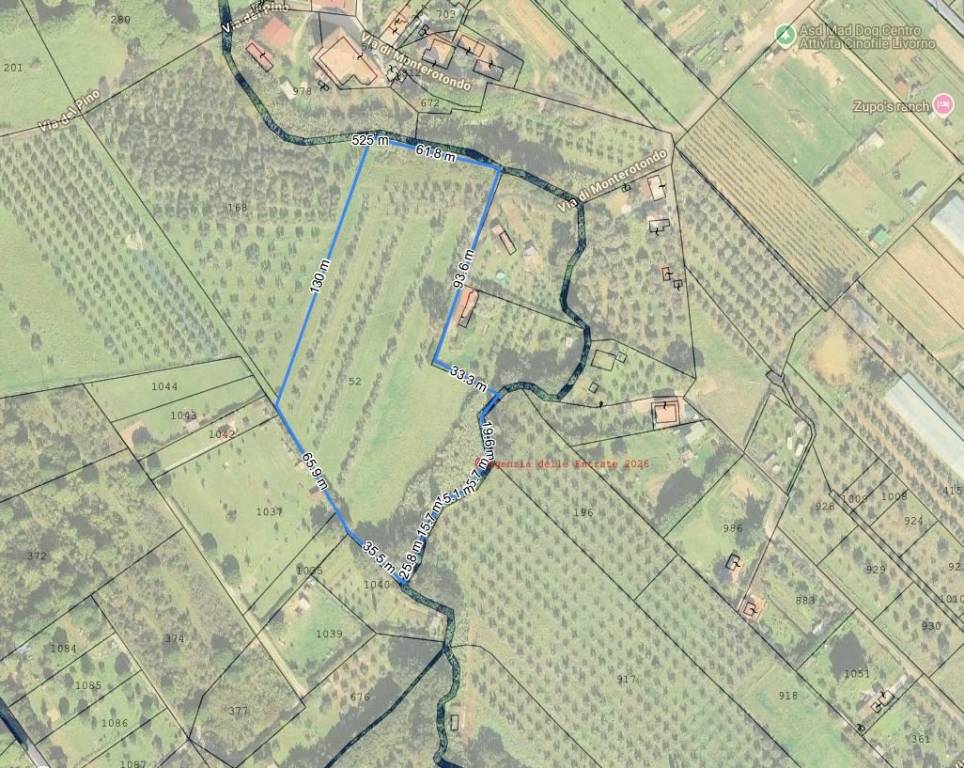 immagine annuncio 13 di 15