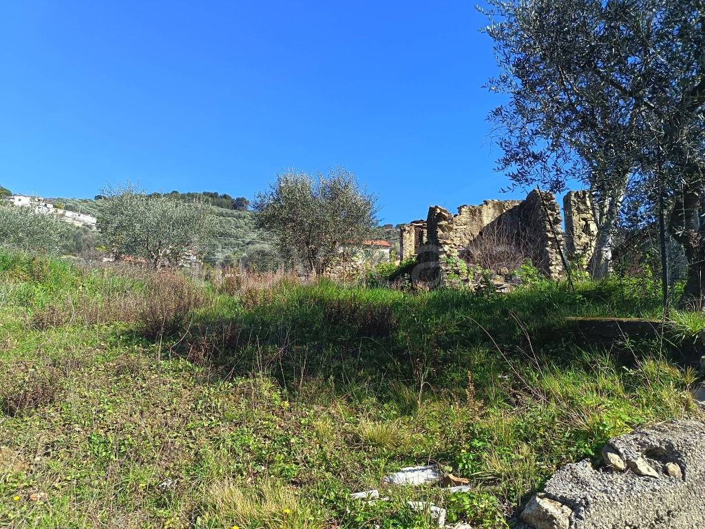 immagine annuncio 3 di 8