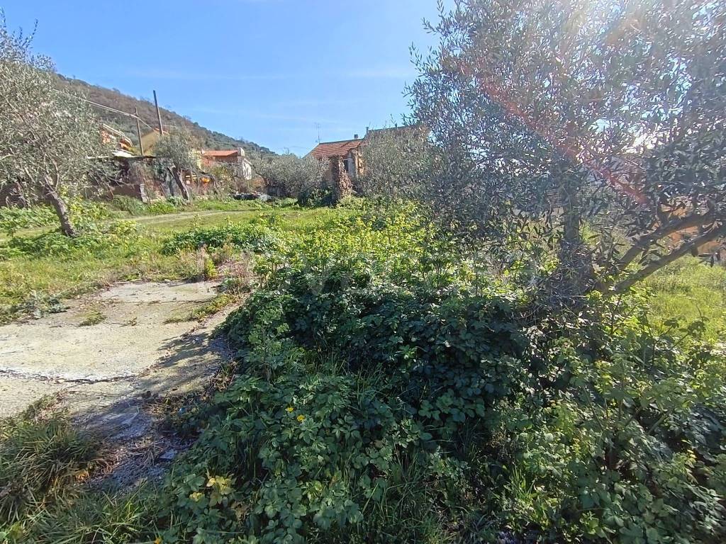 immagine annuncio 7 di 8