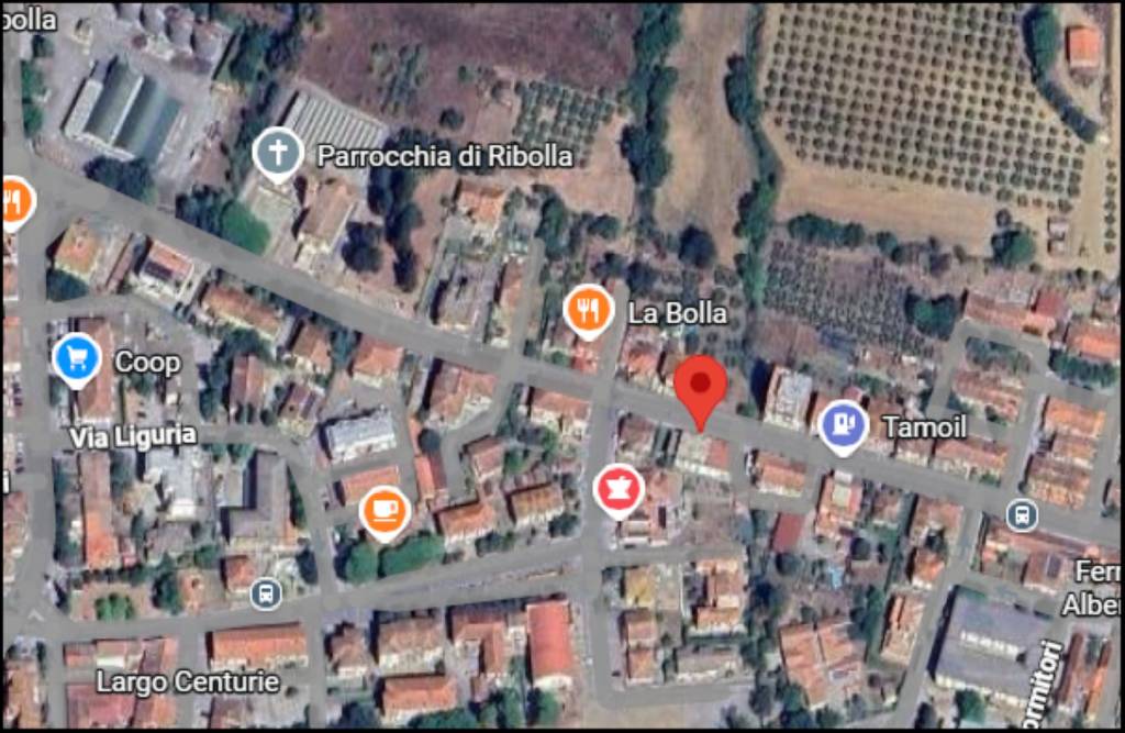 immagine annuncio 11 di 12