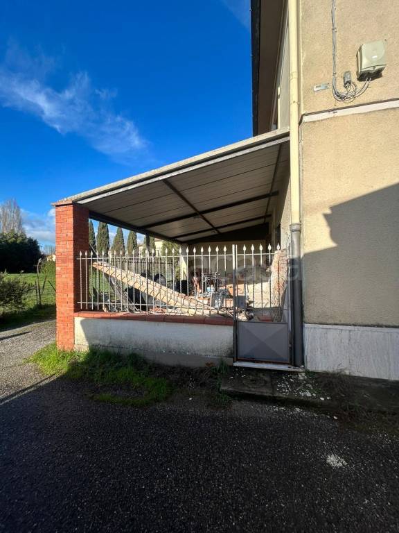 immagine annuncio 5 di 12