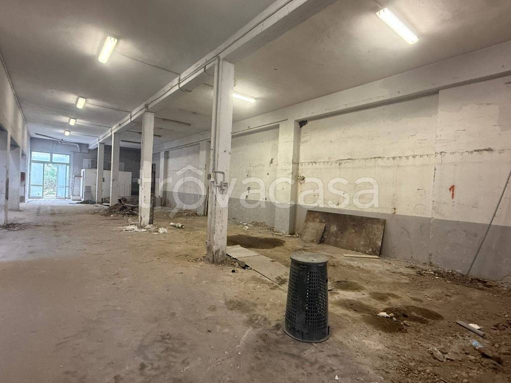 immagine annuncio 2 di 8