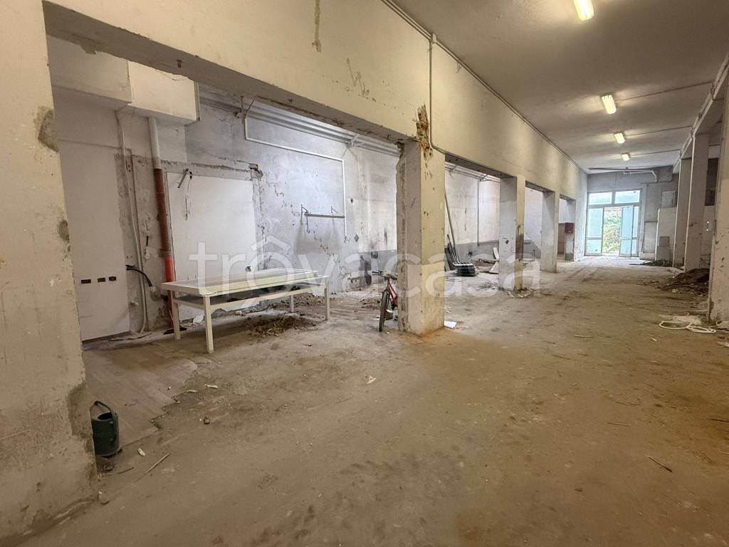 immagine annuncio 3 di 8