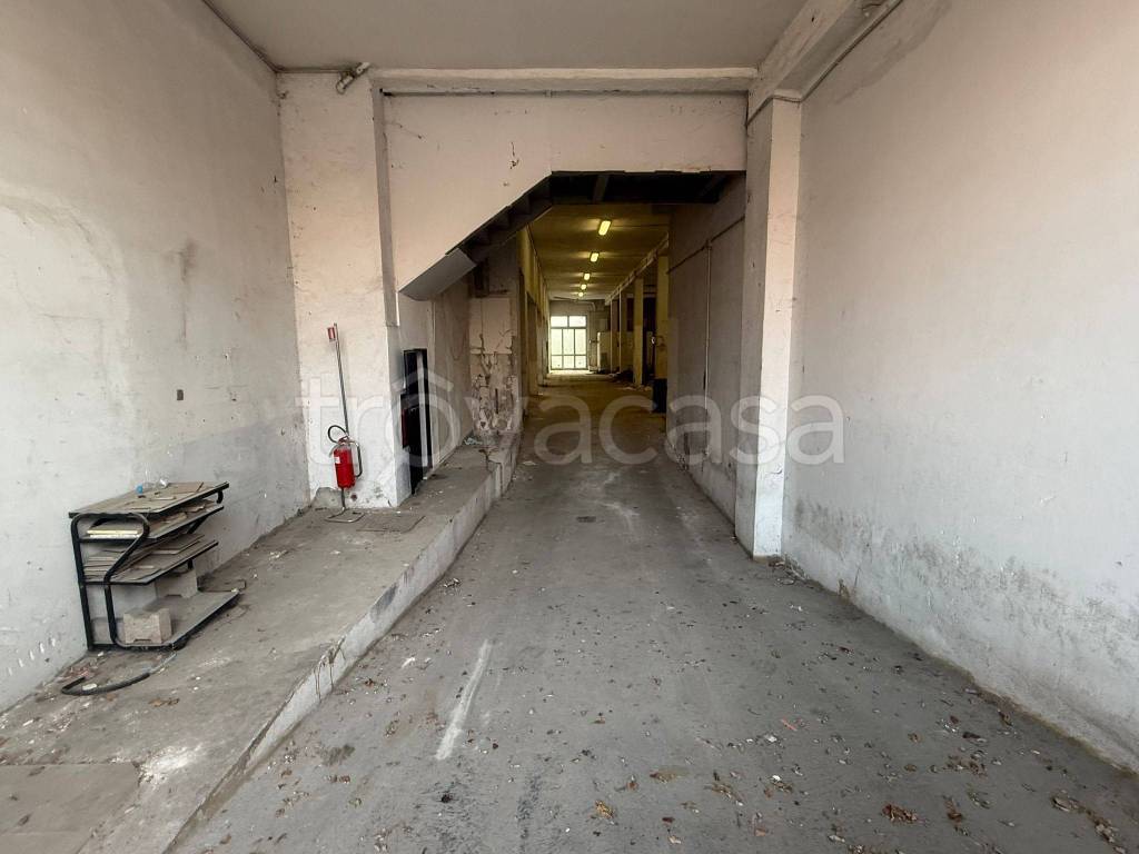 immagine annuncio 4 di 8