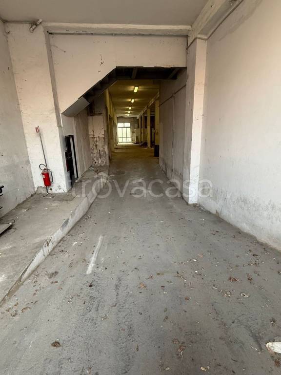 immagine annuncio 6 di 8