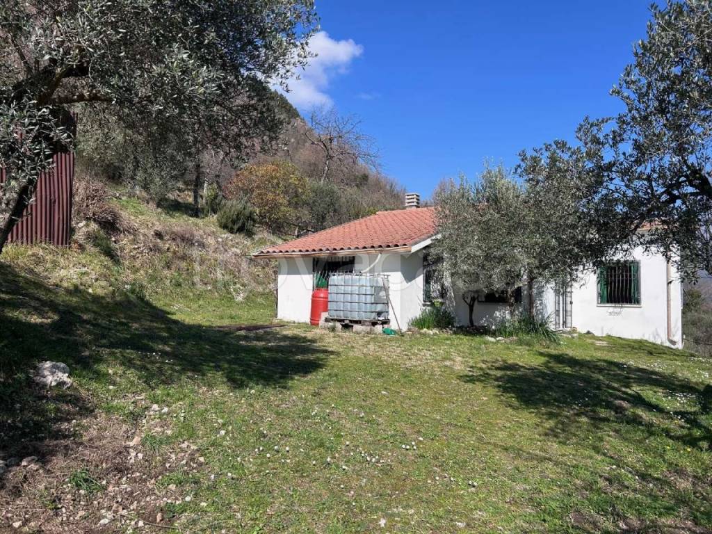 immagine annuncio 1 di 14