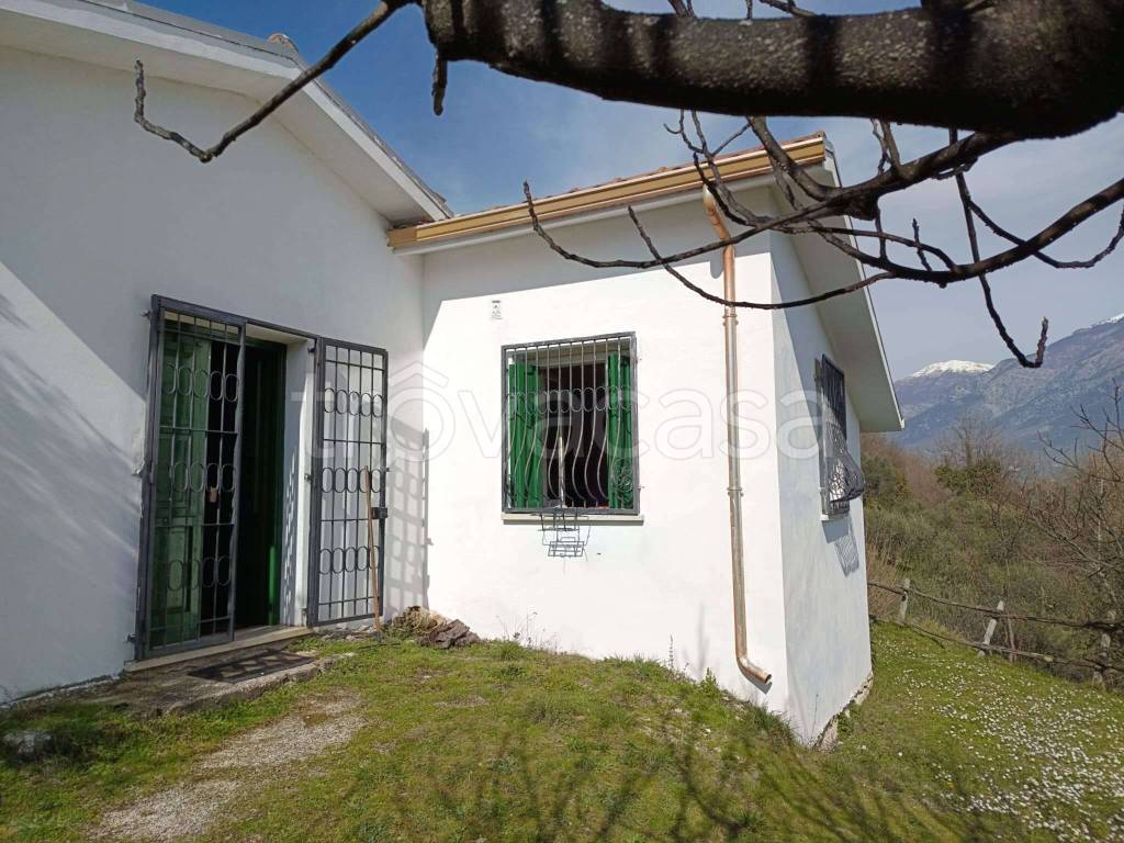 immagine annuncio 2 di 14