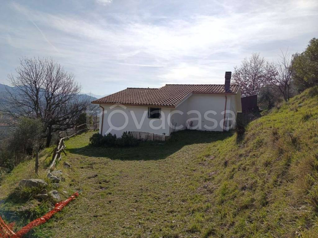 immagine annuncio 4 di 14