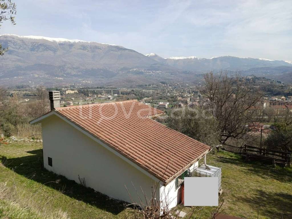 immagine annuncio 5 di 14