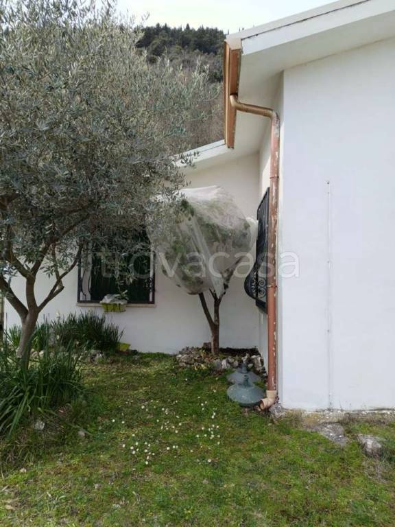 immagine annuncio 6 di 14