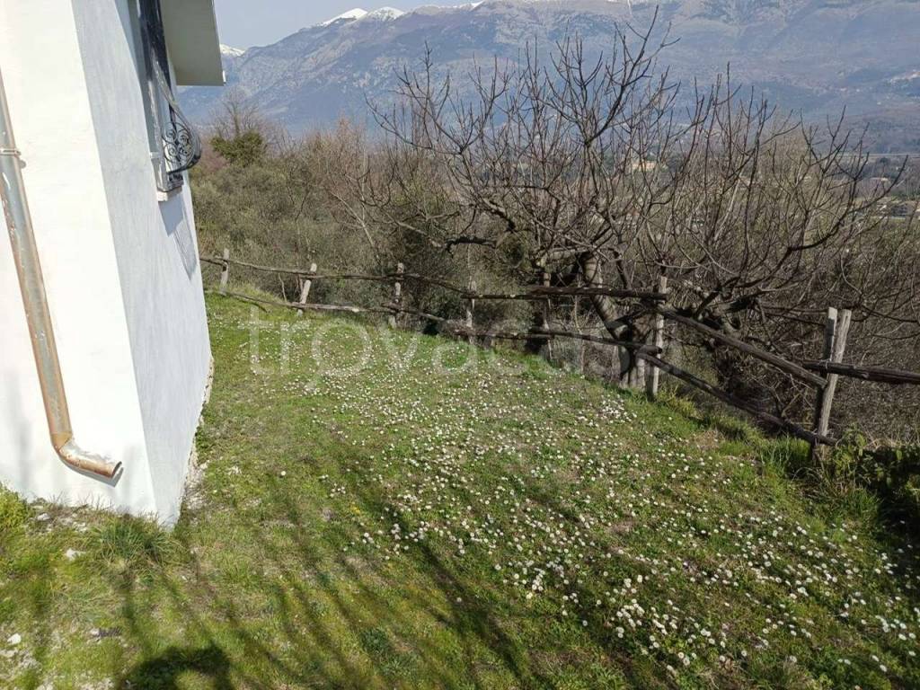 immagine annuncio 9 di 14