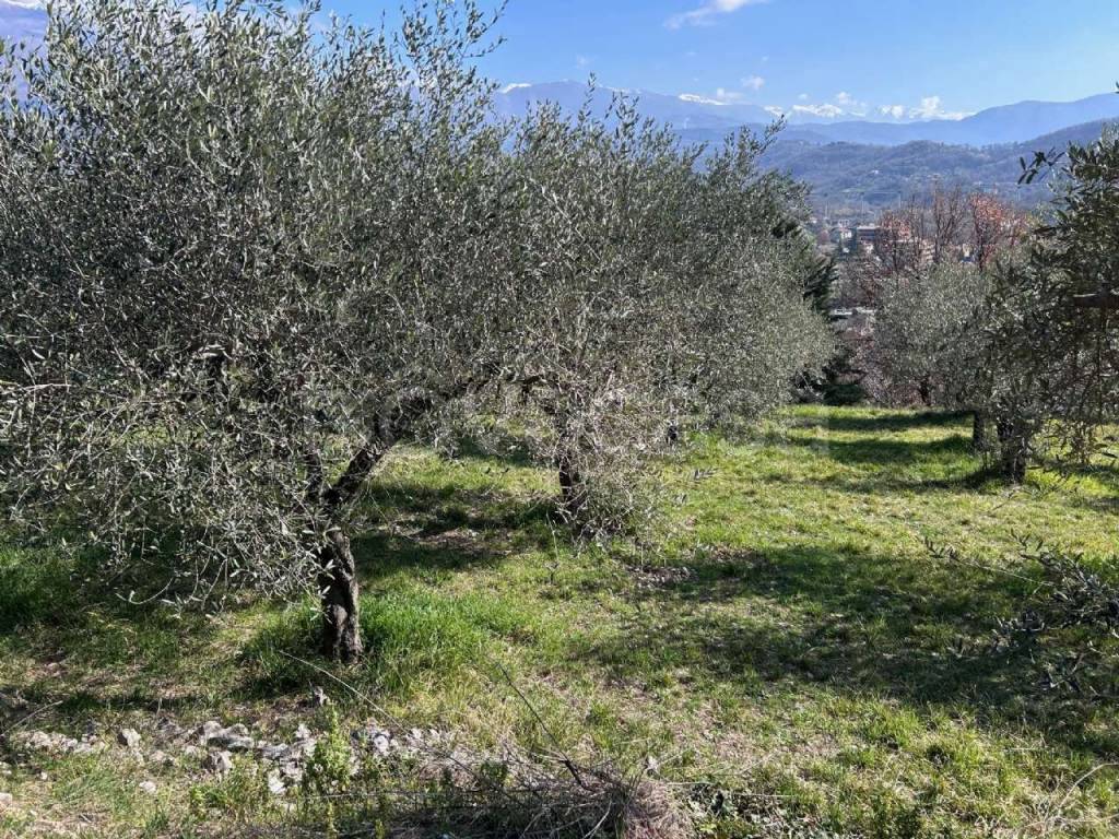 immagine annuncio 10 di 14