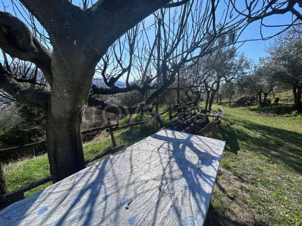 immagine annuncio 12 di 14