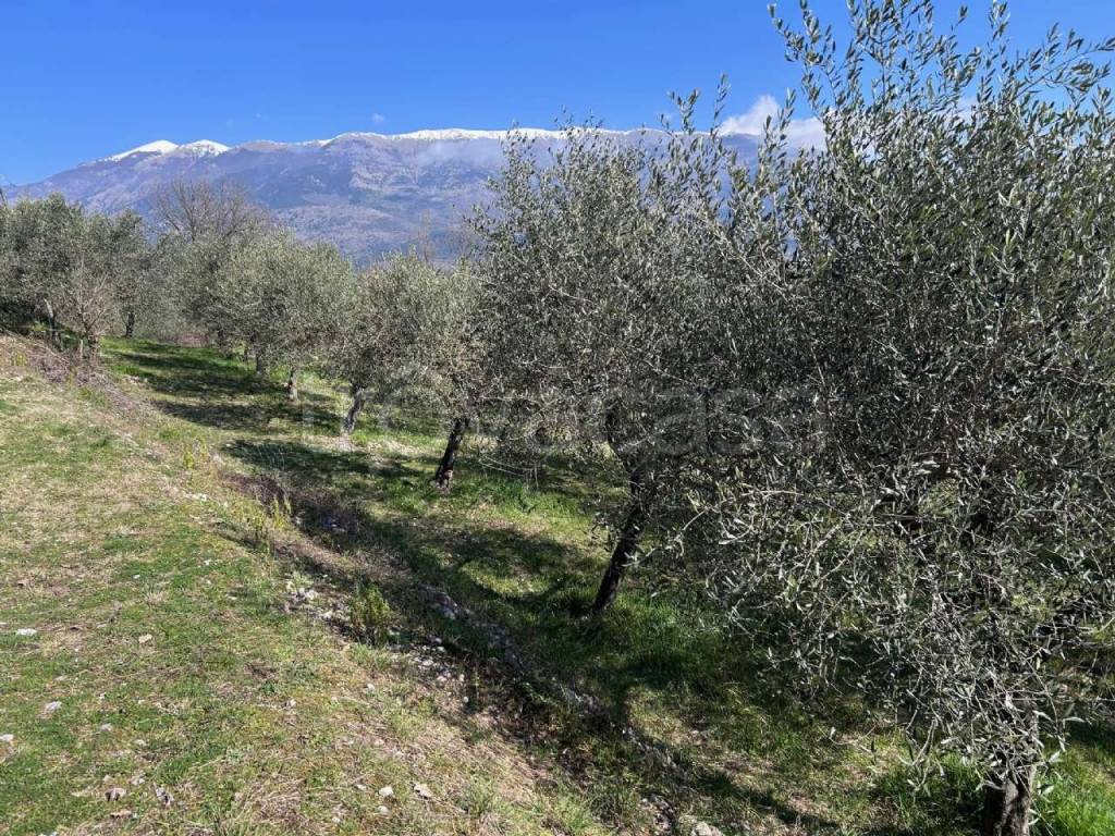 immagine annuncio 13 di 14