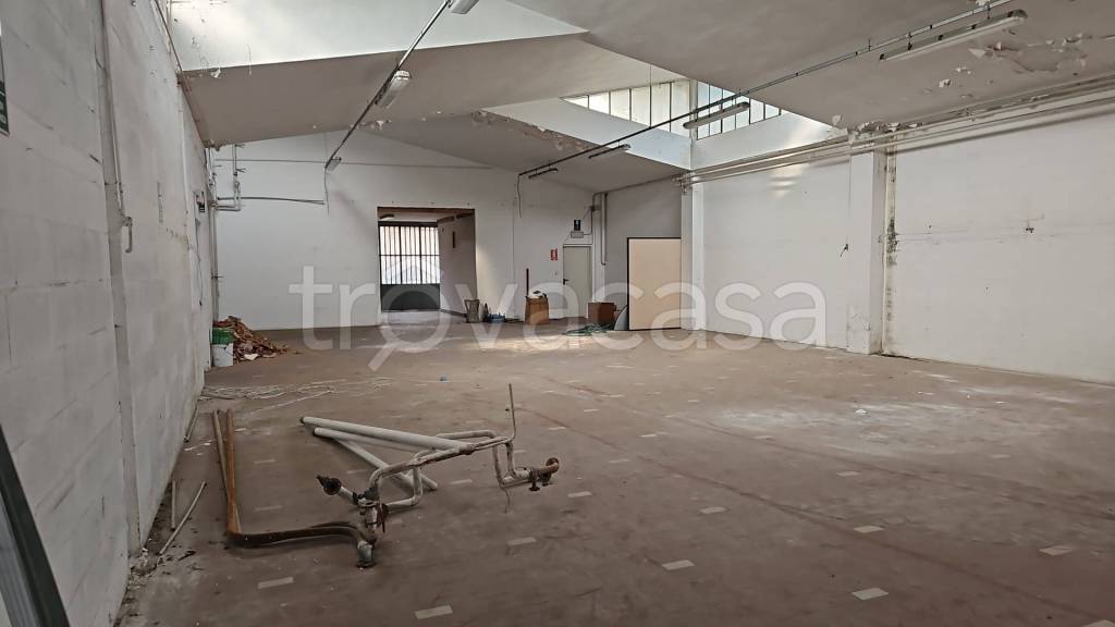 immagine annuncio 10 di 12