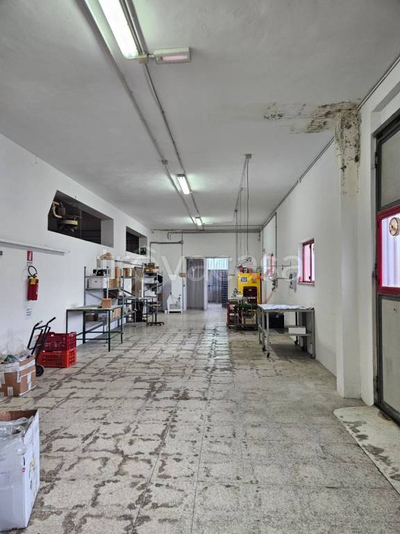 immagine annuncio 1 di 3