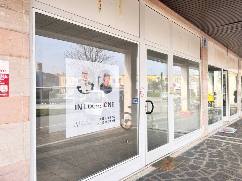 immagine annuncio 4 di 7