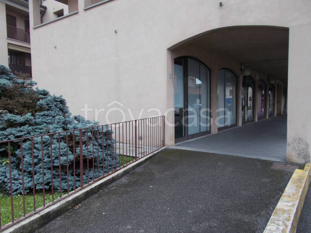 immagine annuncio 12 di 14