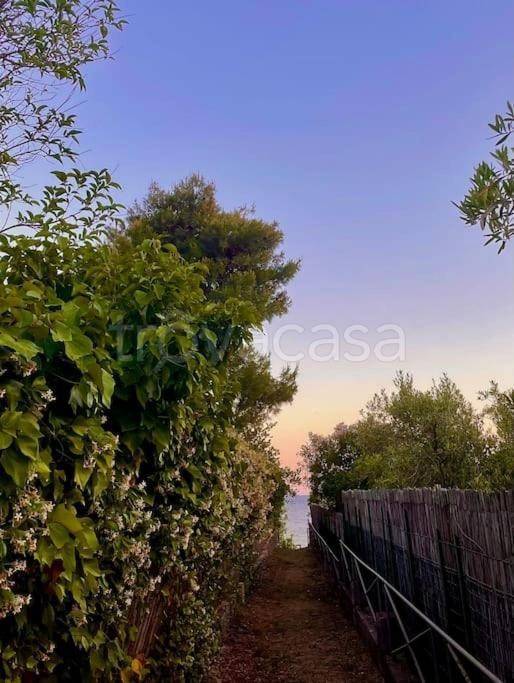 immagine annuncio 11 di 13