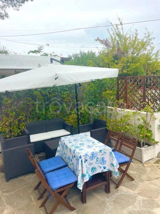 immagine annuncio 10 di 13