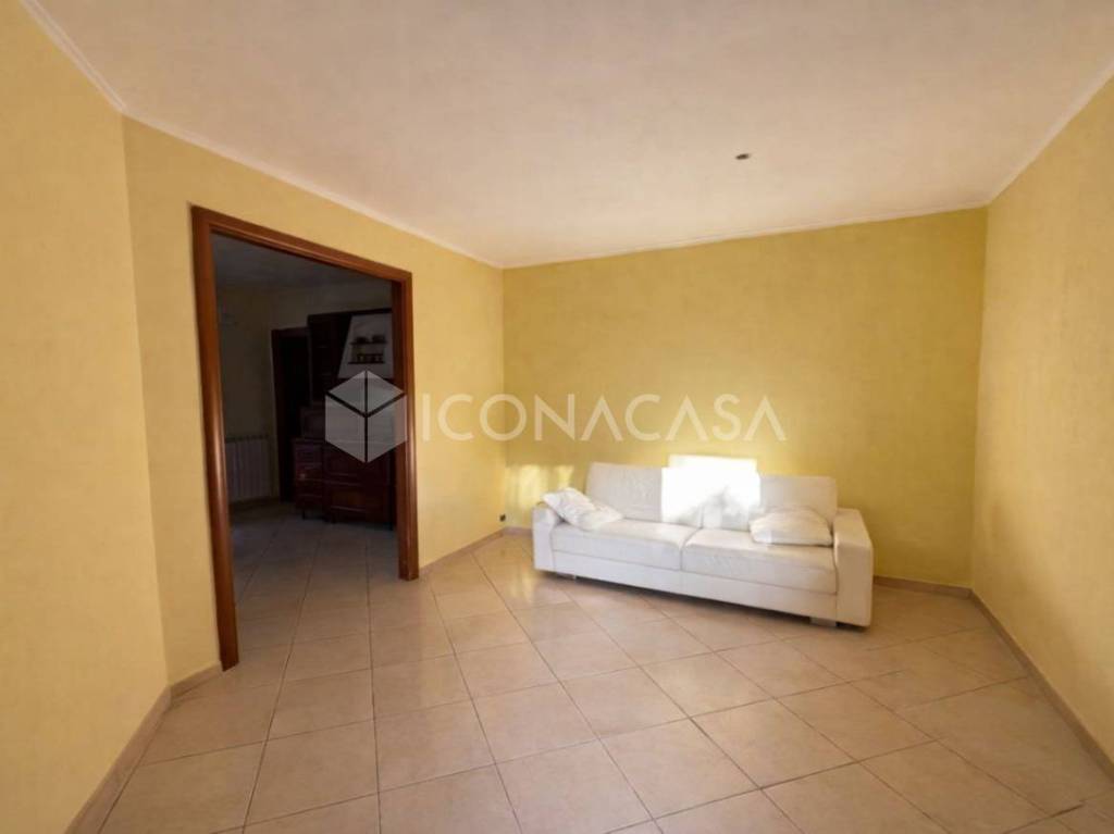 immagine annuncio 3 di 14