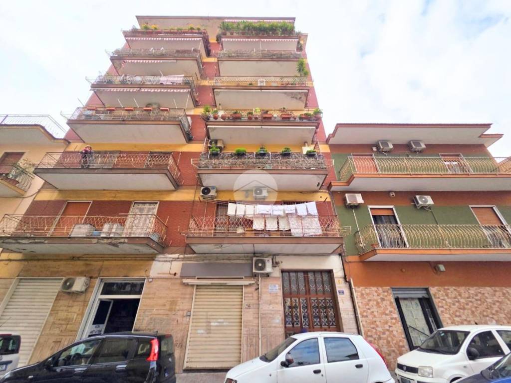 immagine annuncio 10 di 11