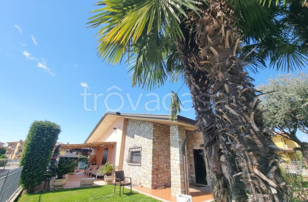 immagine annuncio 2 di 15