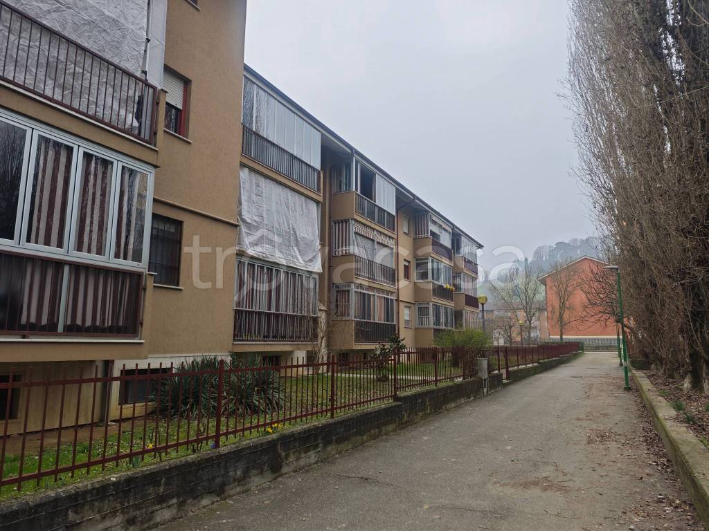 immagine annuncio 1 di 14