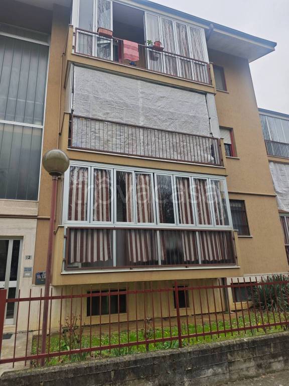 immagine annuncio 2 di 14