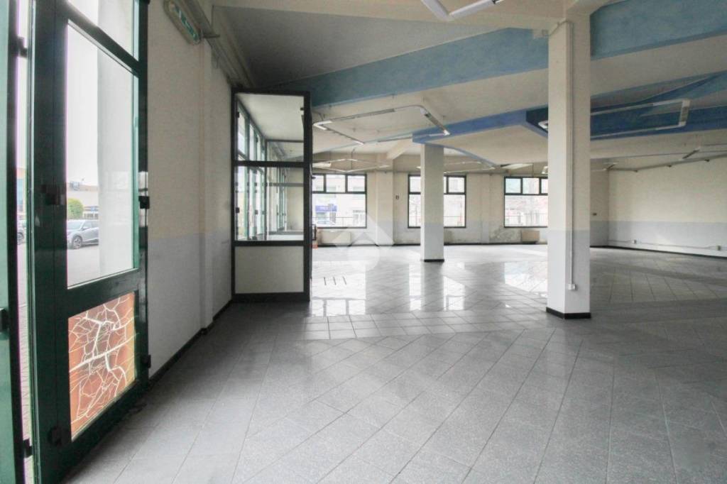 immagine annuncio 12 di 15