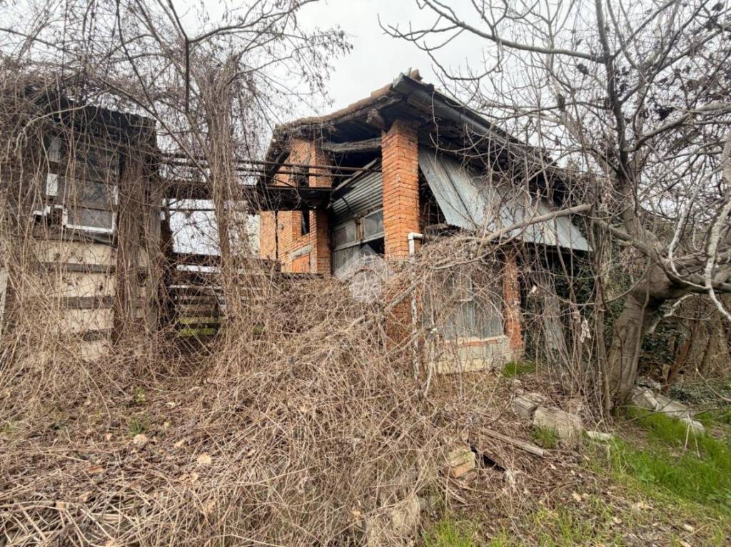 immagine annuncio 1 di 11