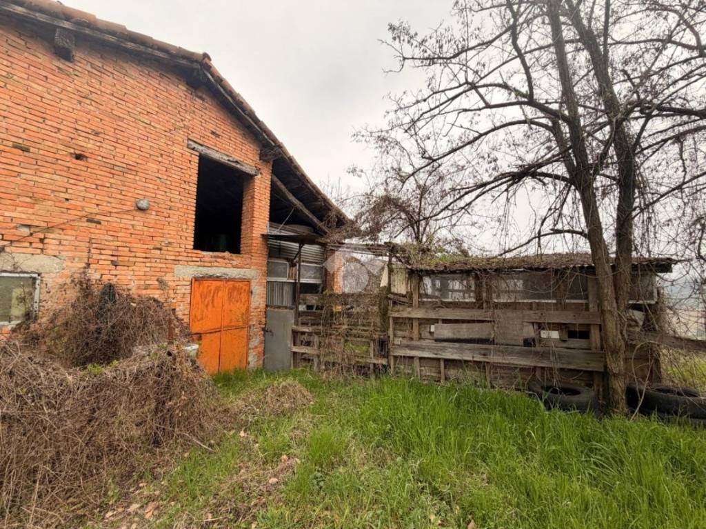 immagine annuncio 4 di 11