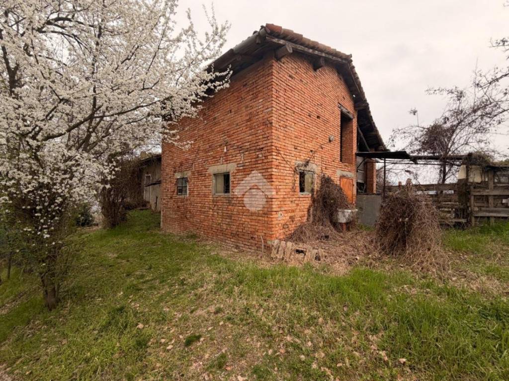 immagine annuncio 5 di 11