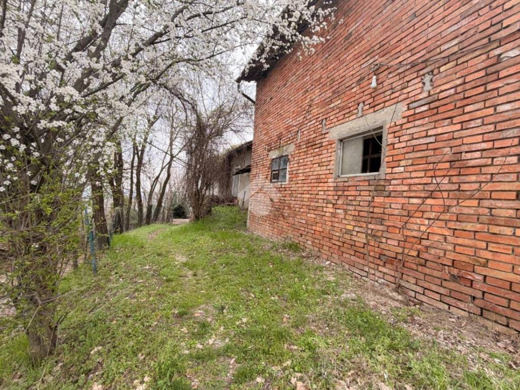 immagine annuncio 9 di 11