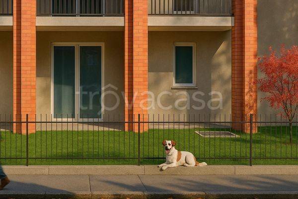 immagine annuncio 2 di 12