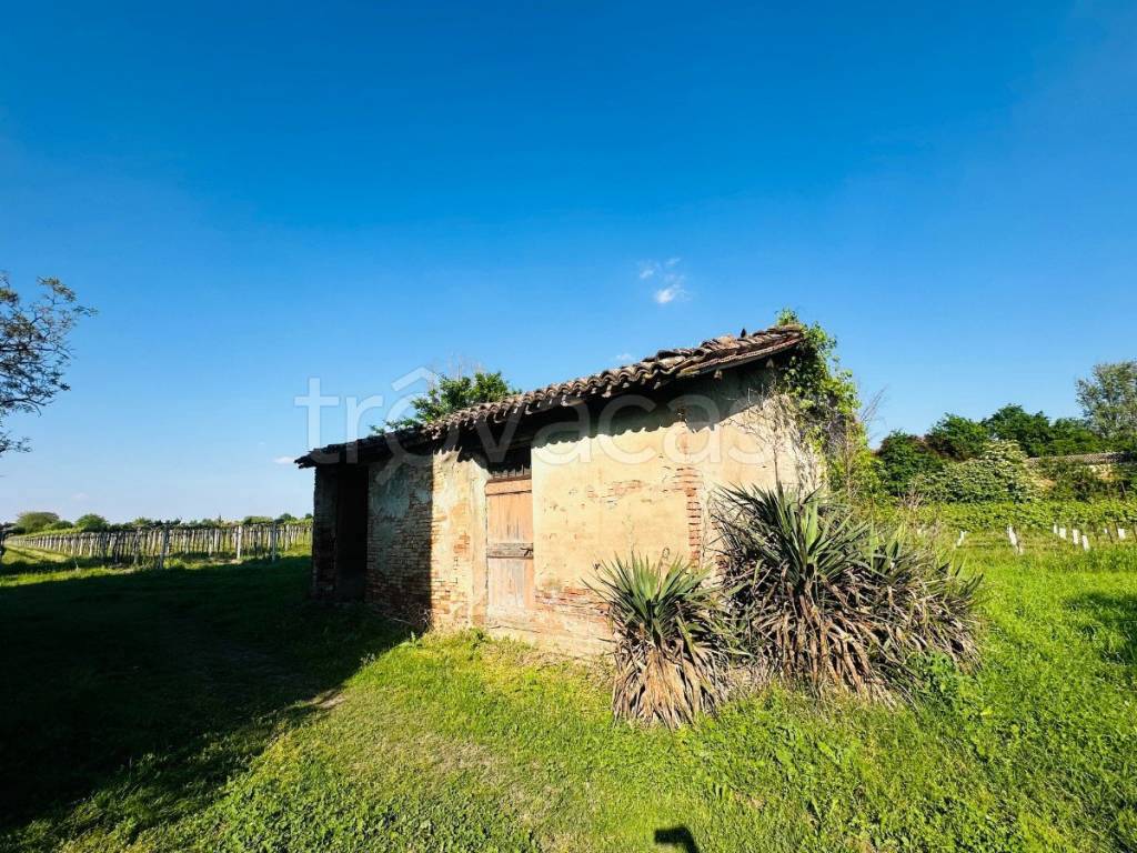 immagine annuncio 5 di 11