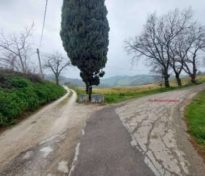 immagine annuncio 2 di 11