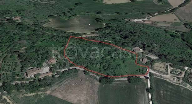 immagine annuncio 5 di 11