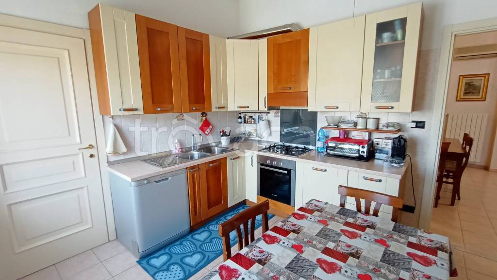 immagine annuncio 3 di 11