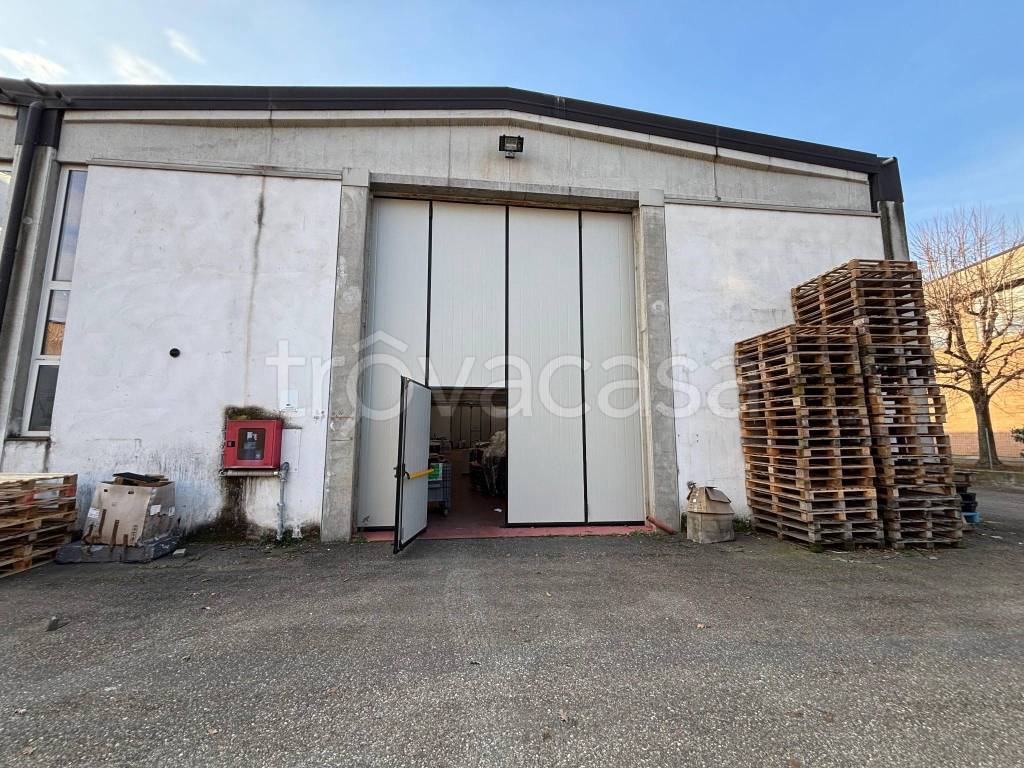 immagine annuncio 5 di 9