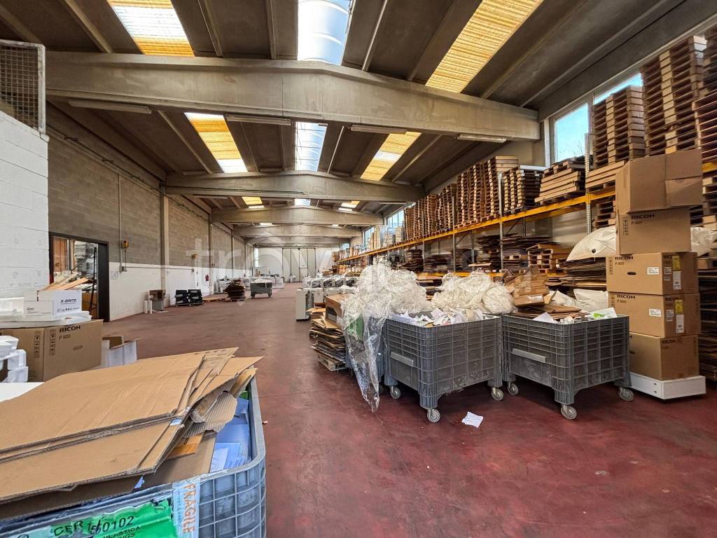 immagine annuncio 2 di 9