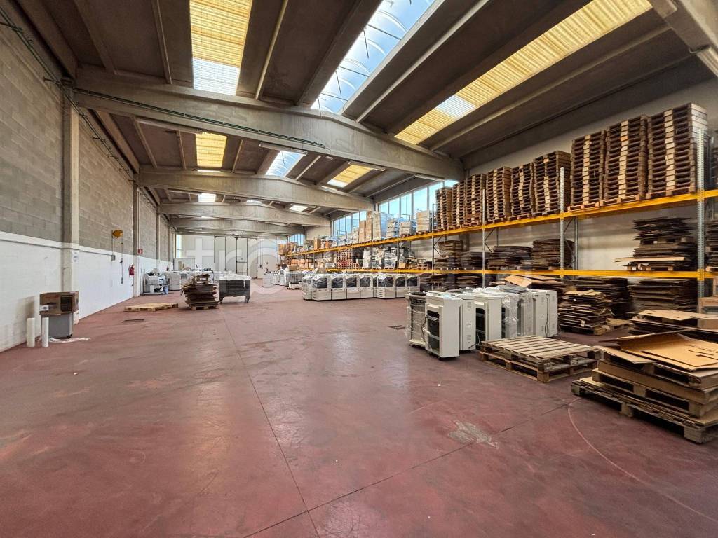 immagine annuncio 4 di 9