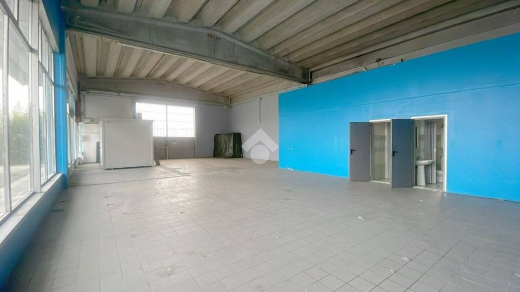 immagine annuncio 3 di 14